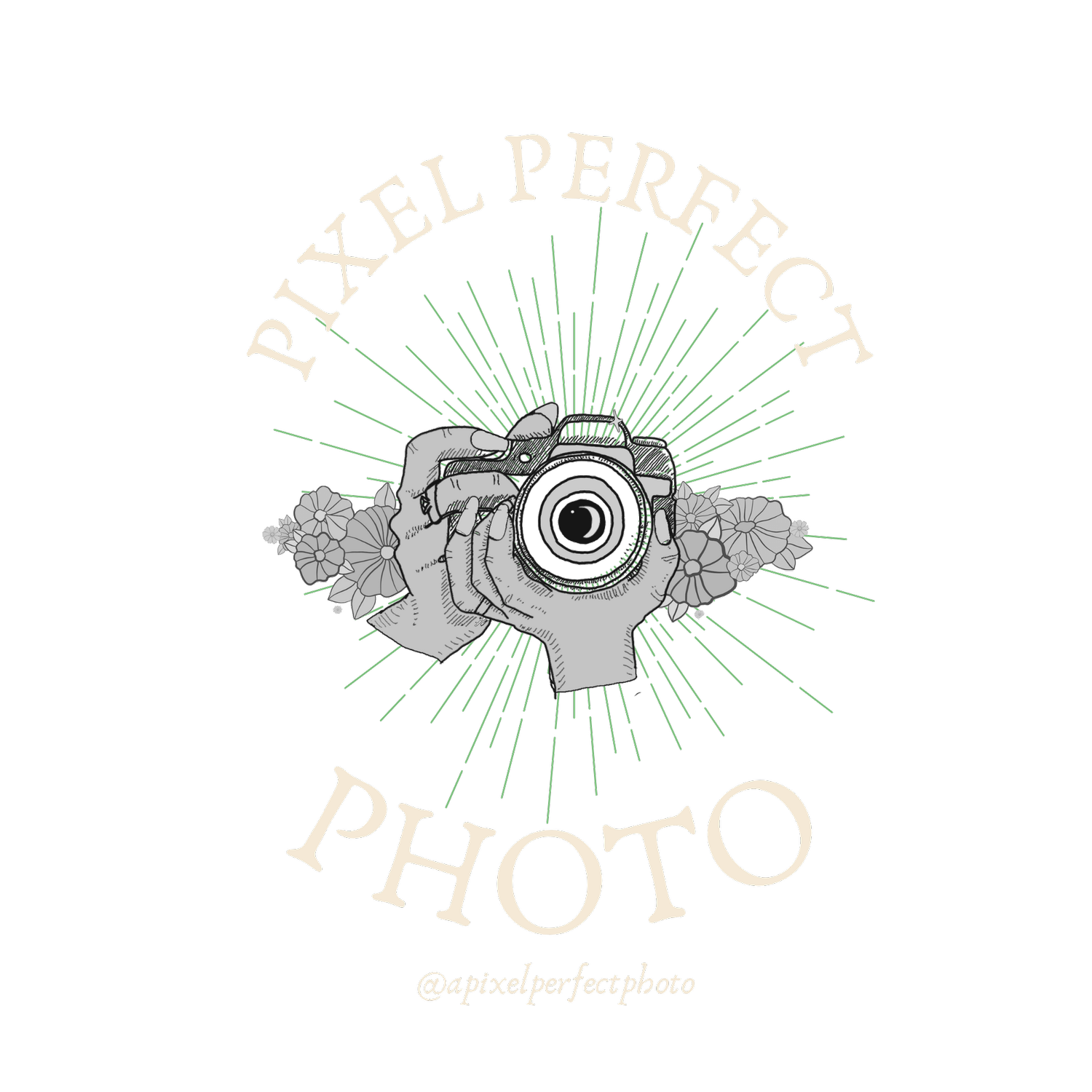 Pixel Perfect Photo + Film
