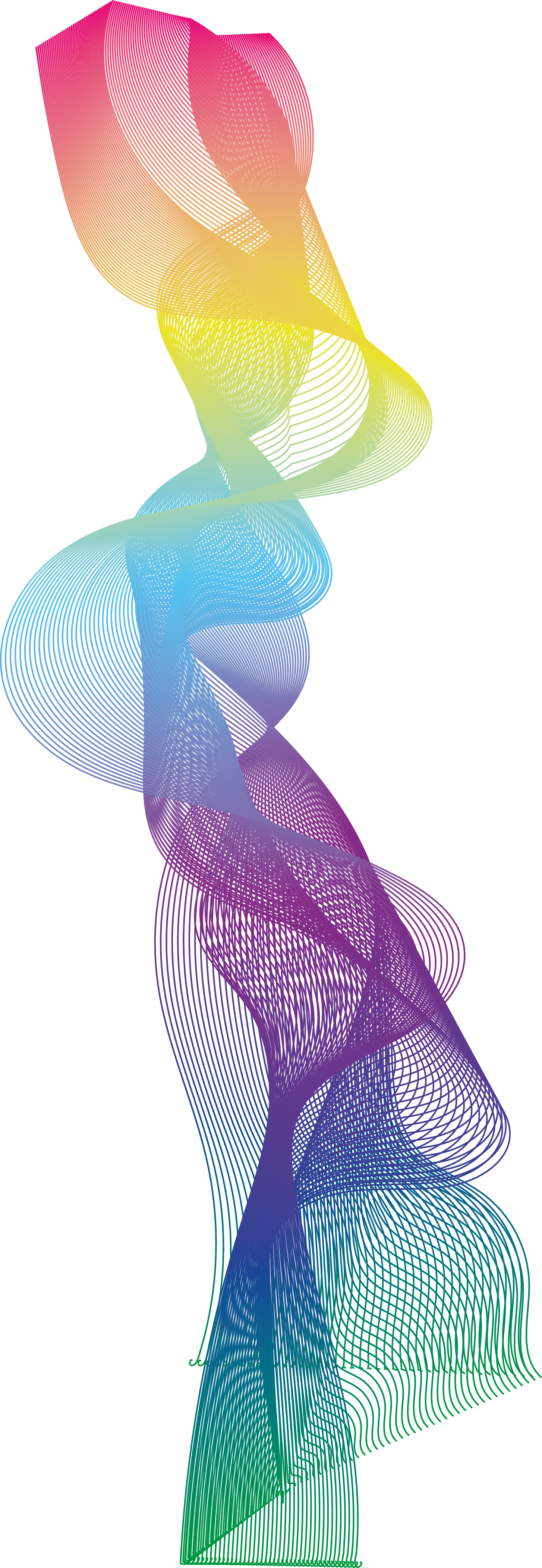 LadyWiseWorld