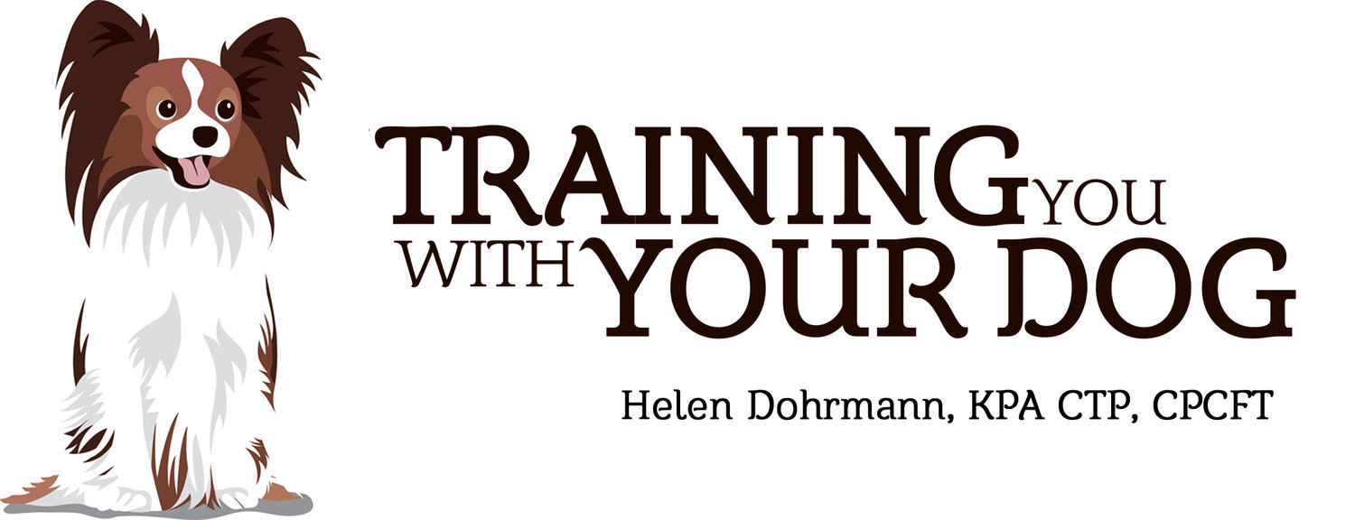 Training You With Your Dog