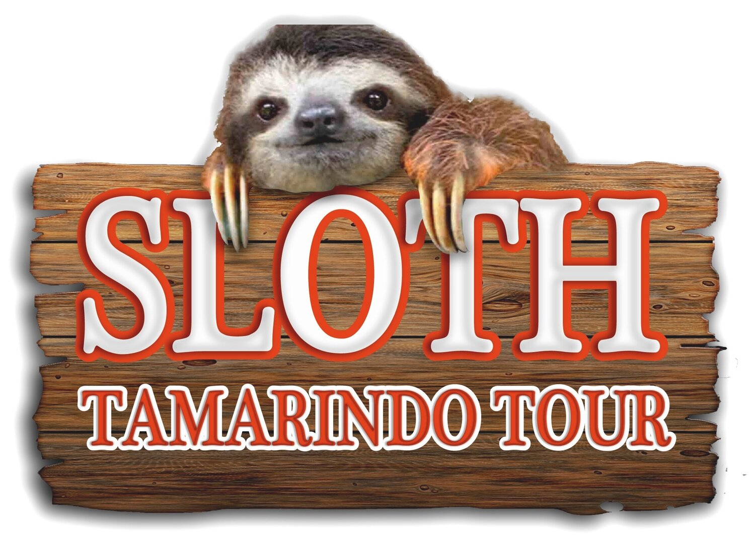 sloth tamarindo