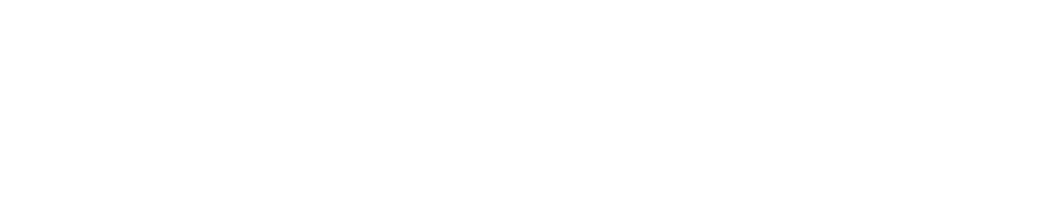Vitae Express