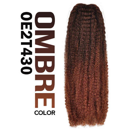 Janet Collection Noir Afro Twist Braid House Of Hair La