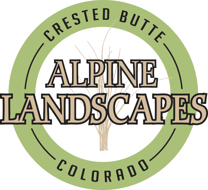 Alpine Landscapes & Construction