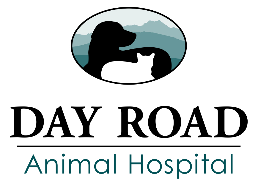 Day Road Animal Hospital