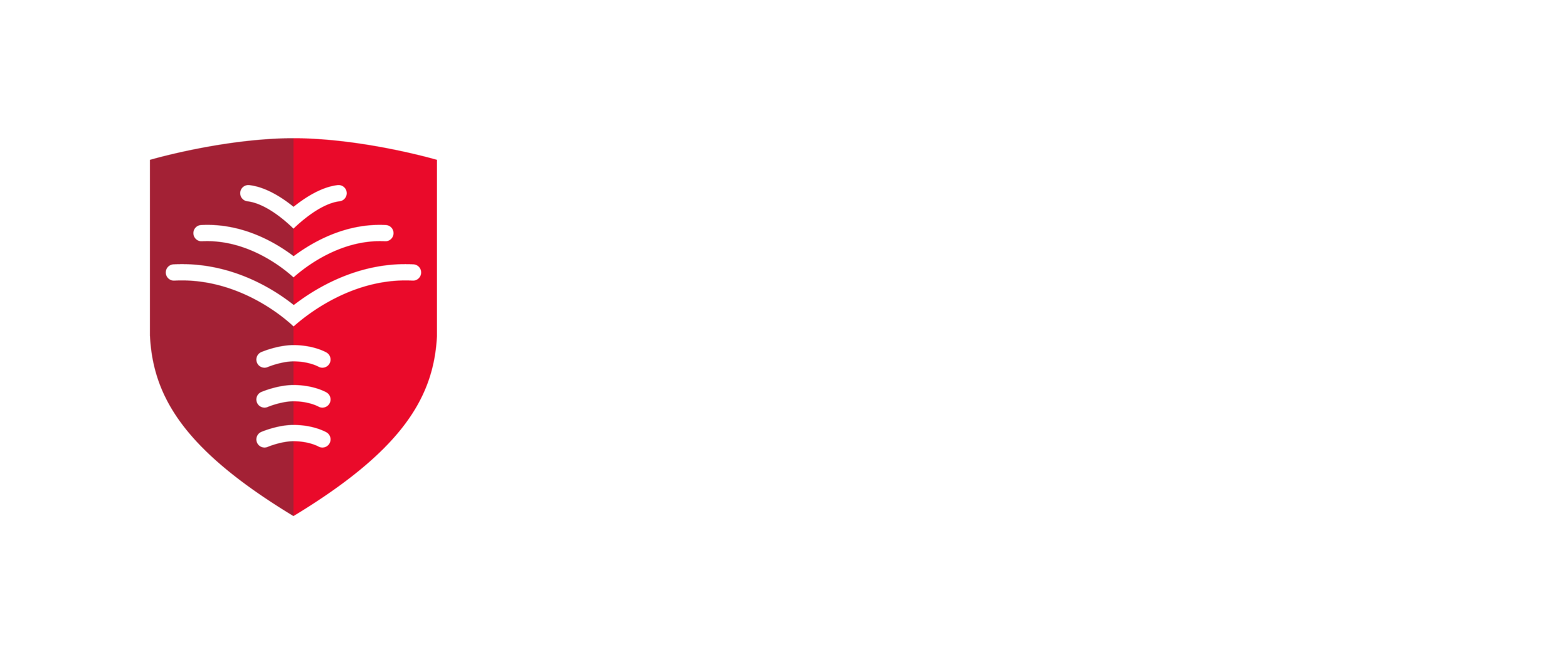Palms School