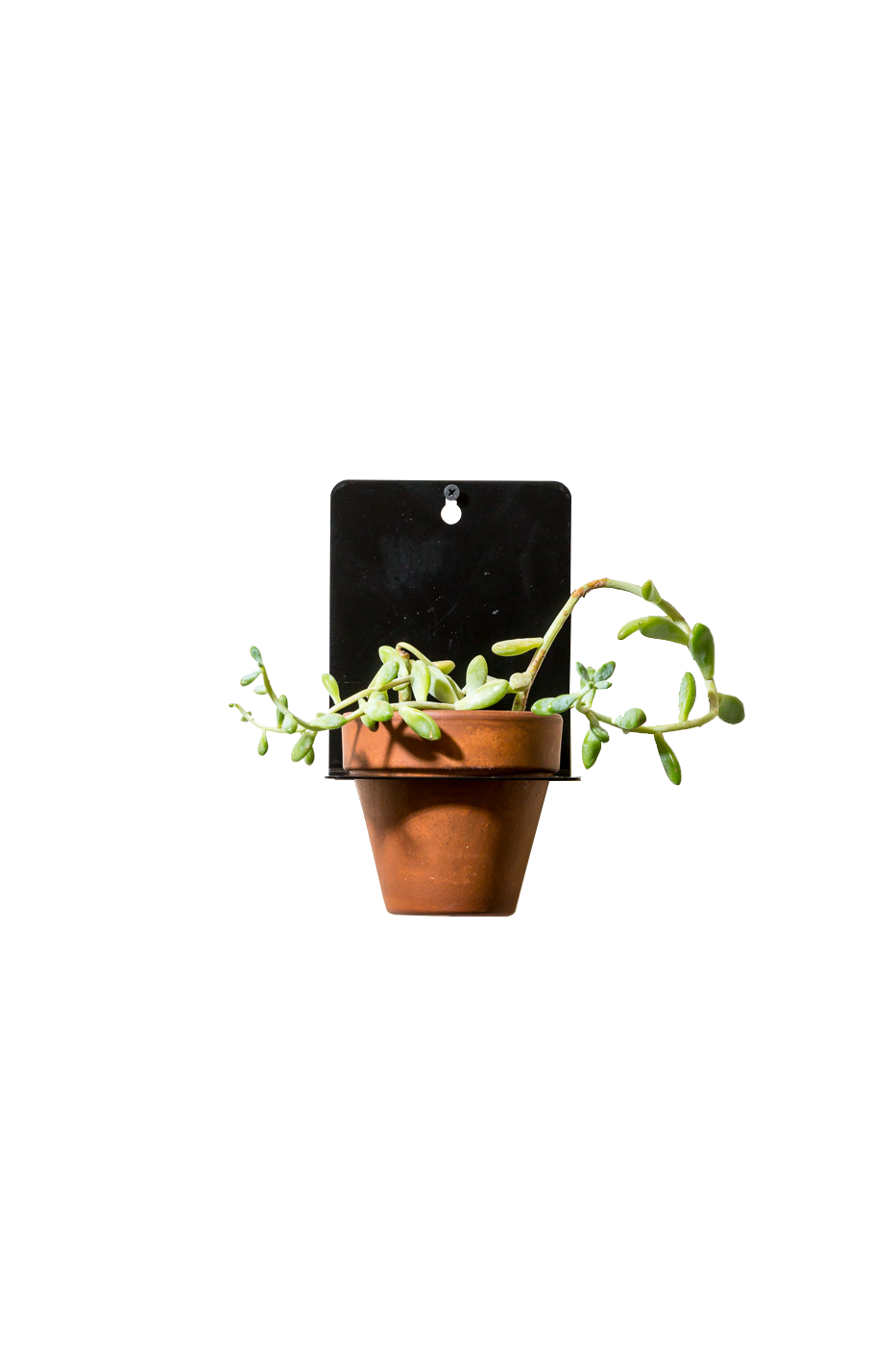 Sheet Metal Wall Planter Newmade La