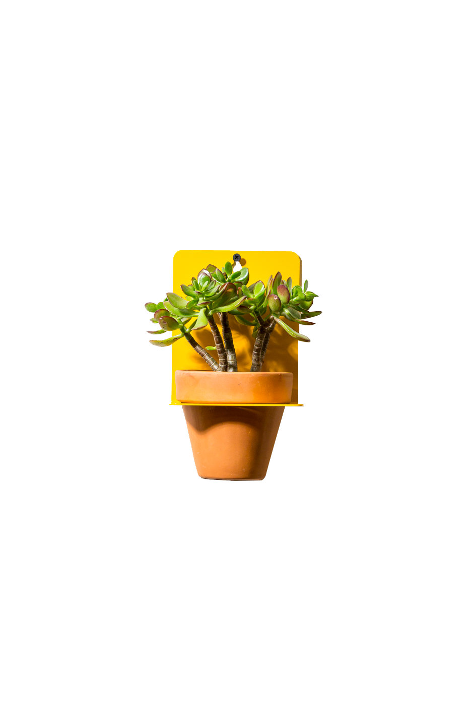 Sheet Metal Wall Planter Newmade La