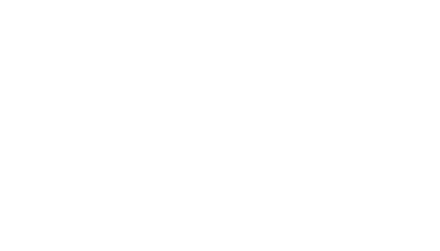 Lisa Kam