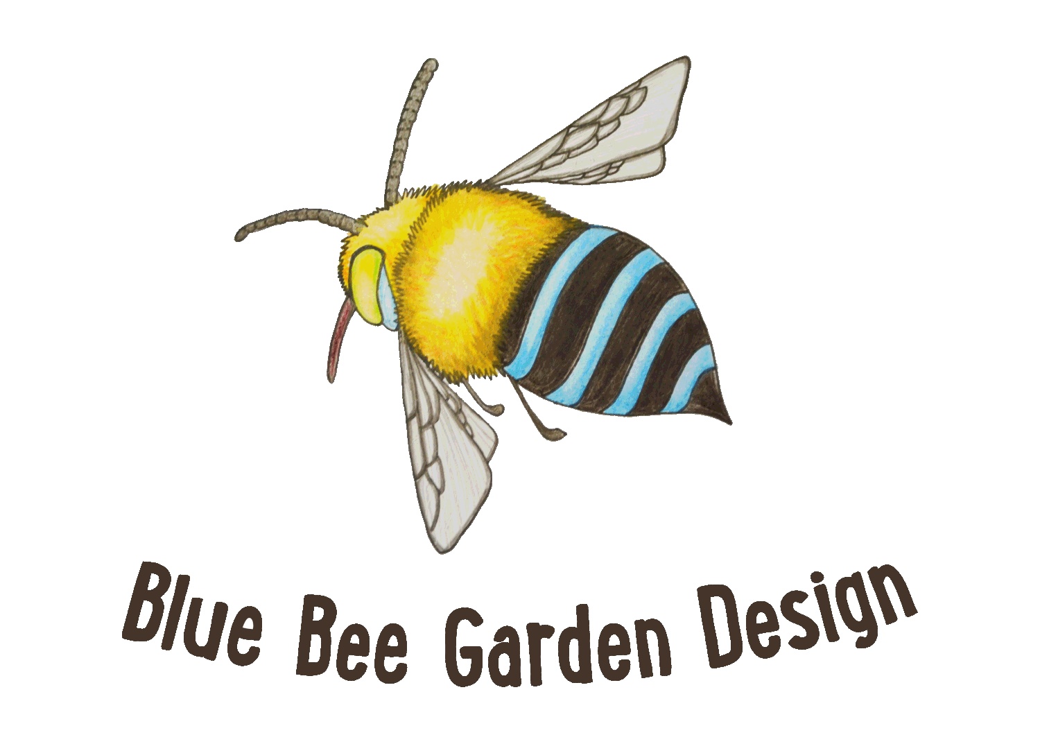 Blue Bee Garden Design