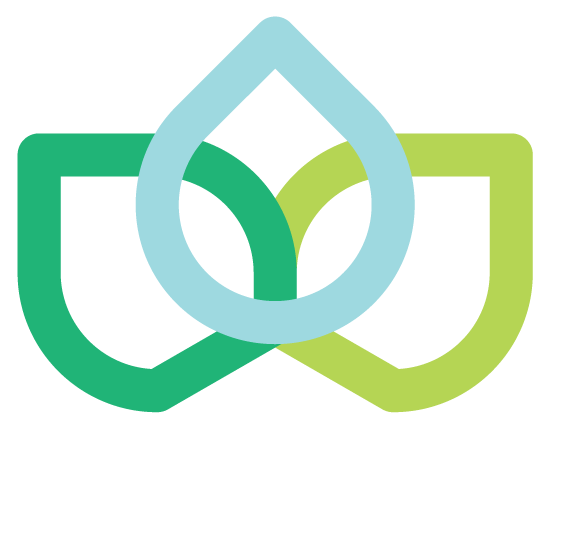 YMT Holding