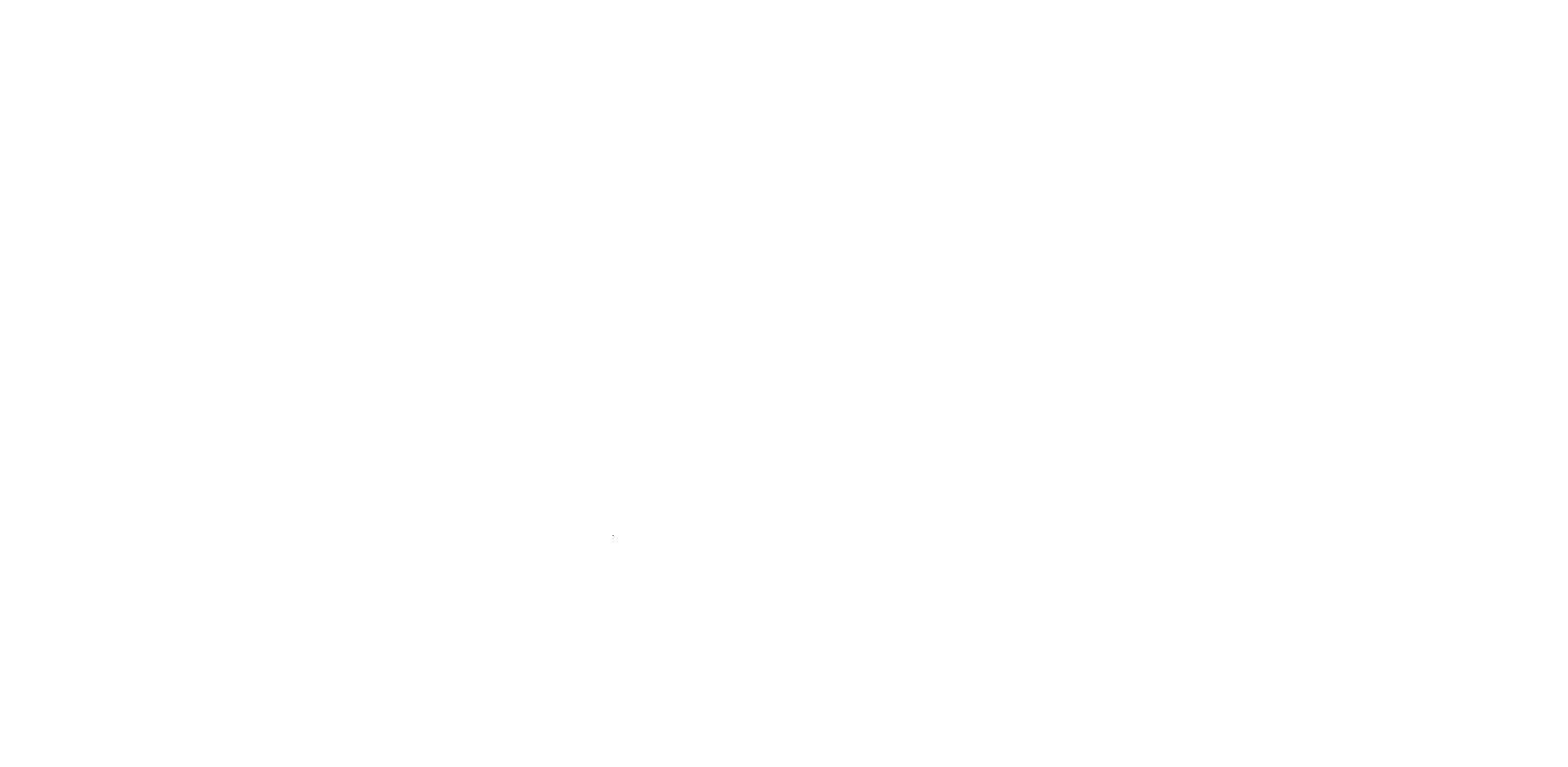 Rachel's Schilderingen