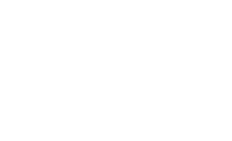 195 Lewis 