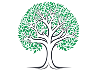 Postproduction By The Tree