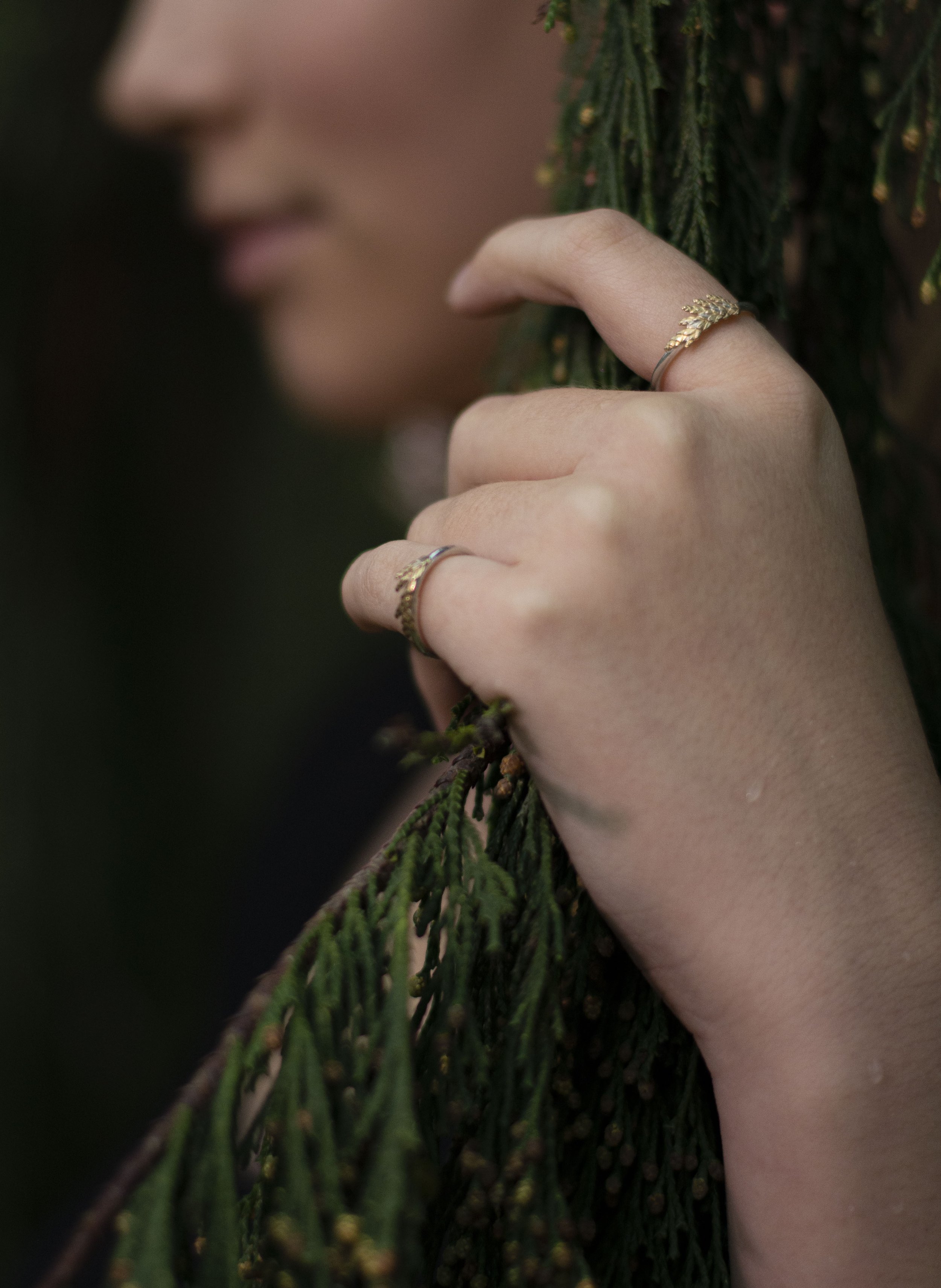 Cedar ring circle deals
