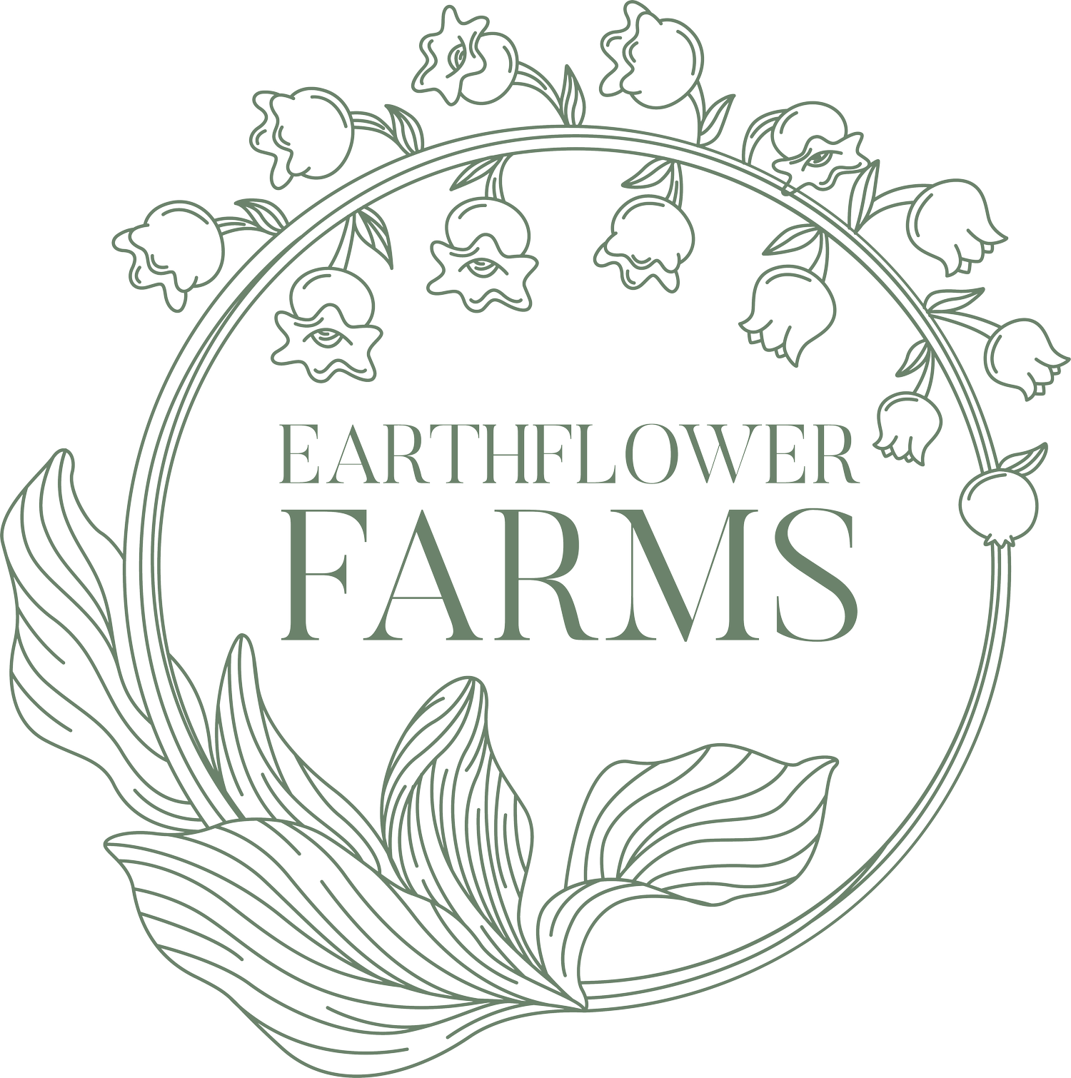Earthflower Herbs & Organics