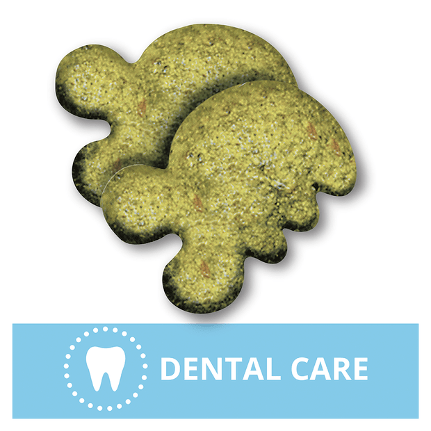 Greenies catnip dental treats discount