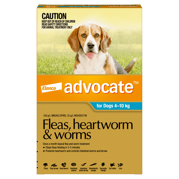 Heartworm and intestinal worm treatment hotsell