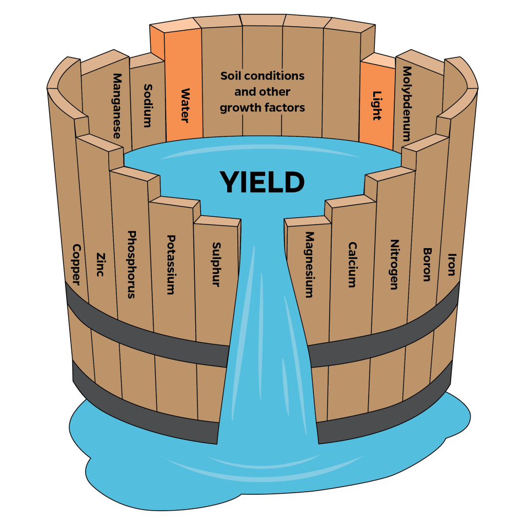 Liebigs-Law-of-Minimum-1024x1024.png