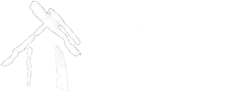 Designs Northwest Architects