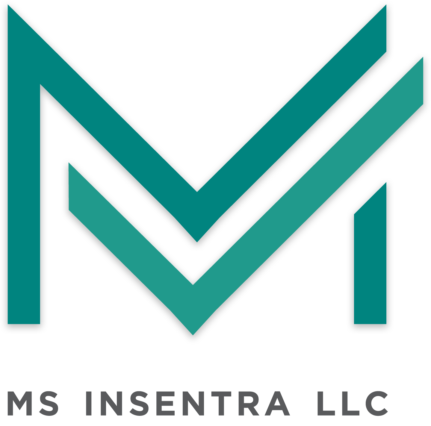 MS Insentra LLC