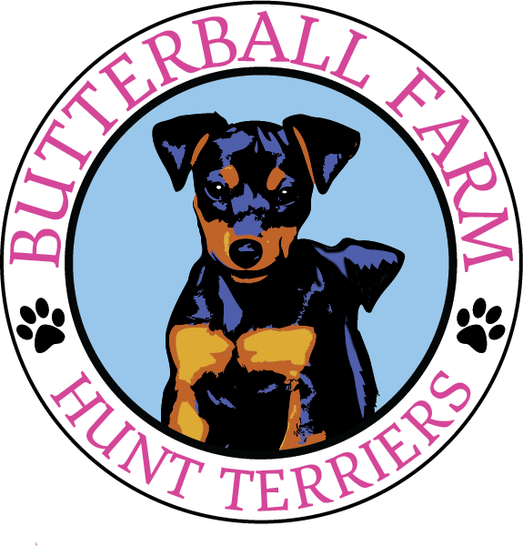Butterball Farm Hunt Terriers