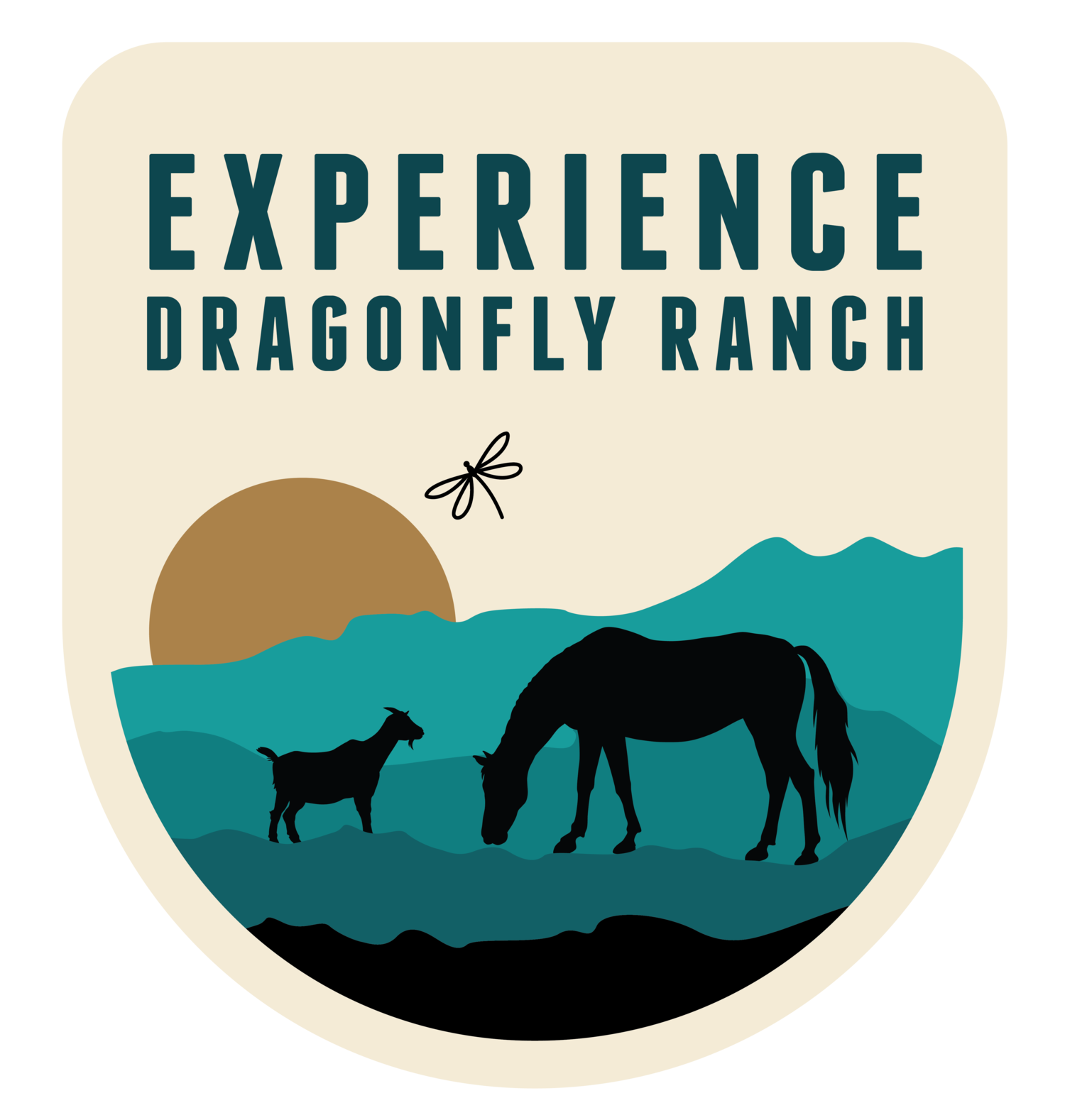 Experience Dragonfly Ranch