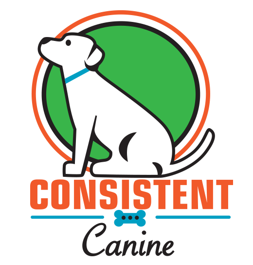 Consistent Canine