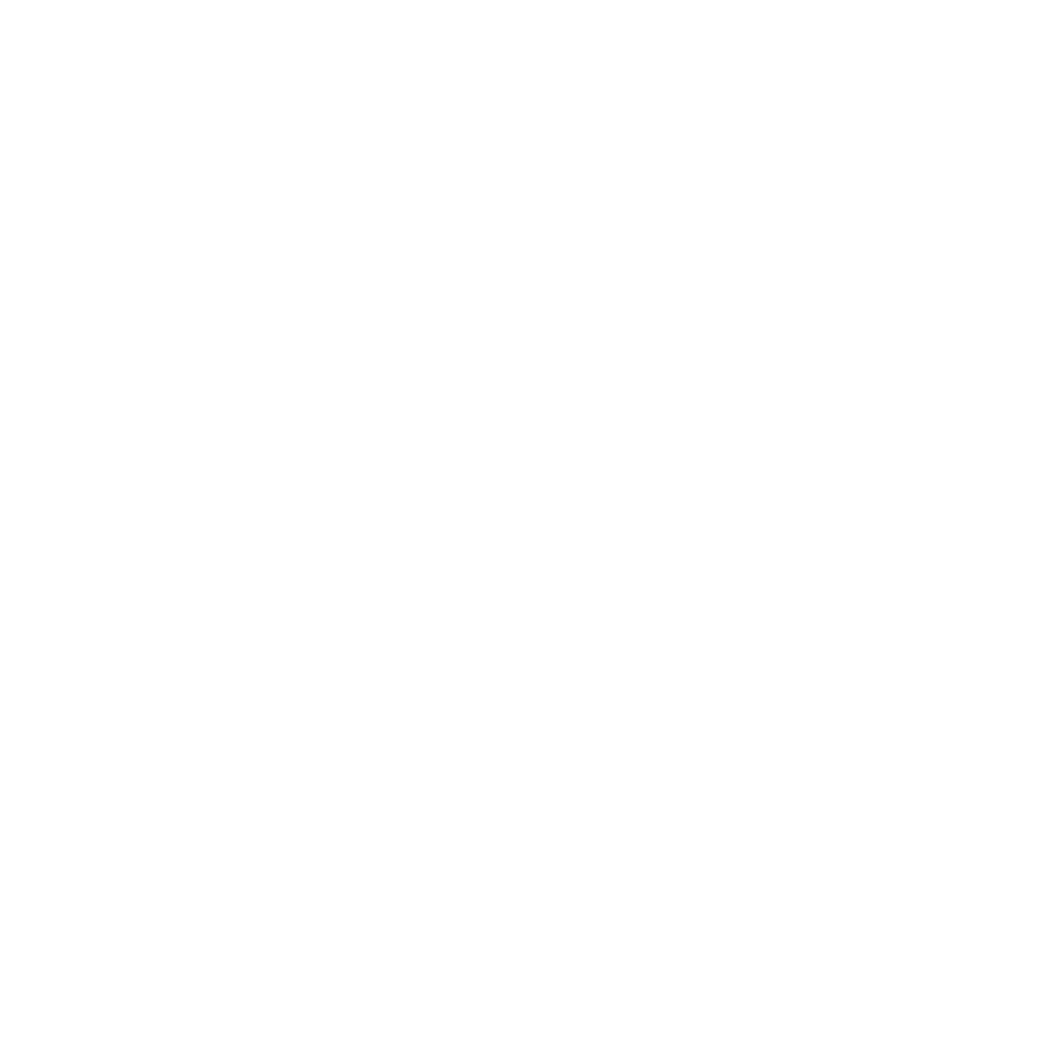 Anne Marie Silvis Photography
