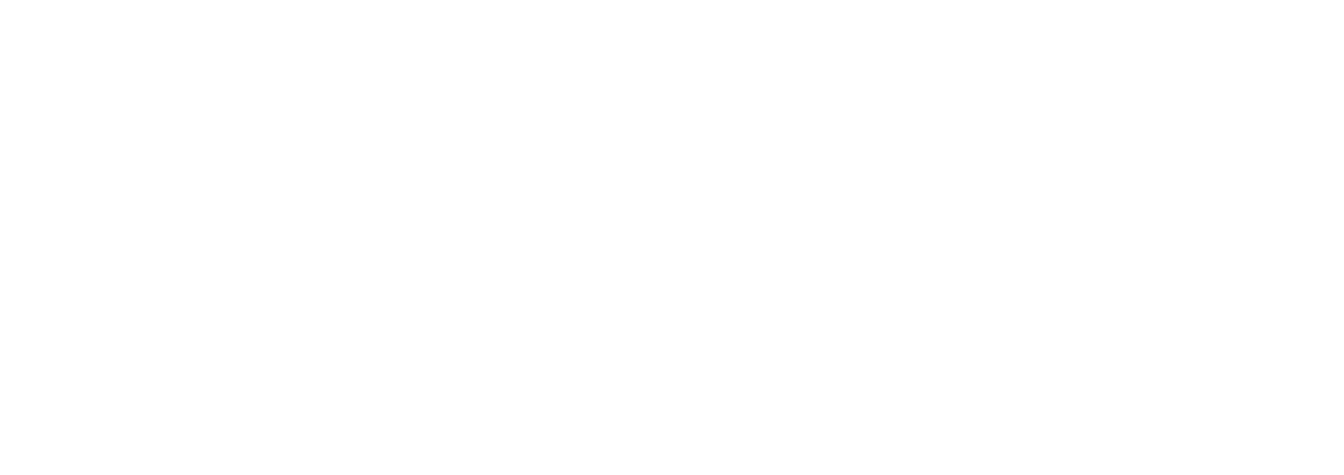VZTech Solutions