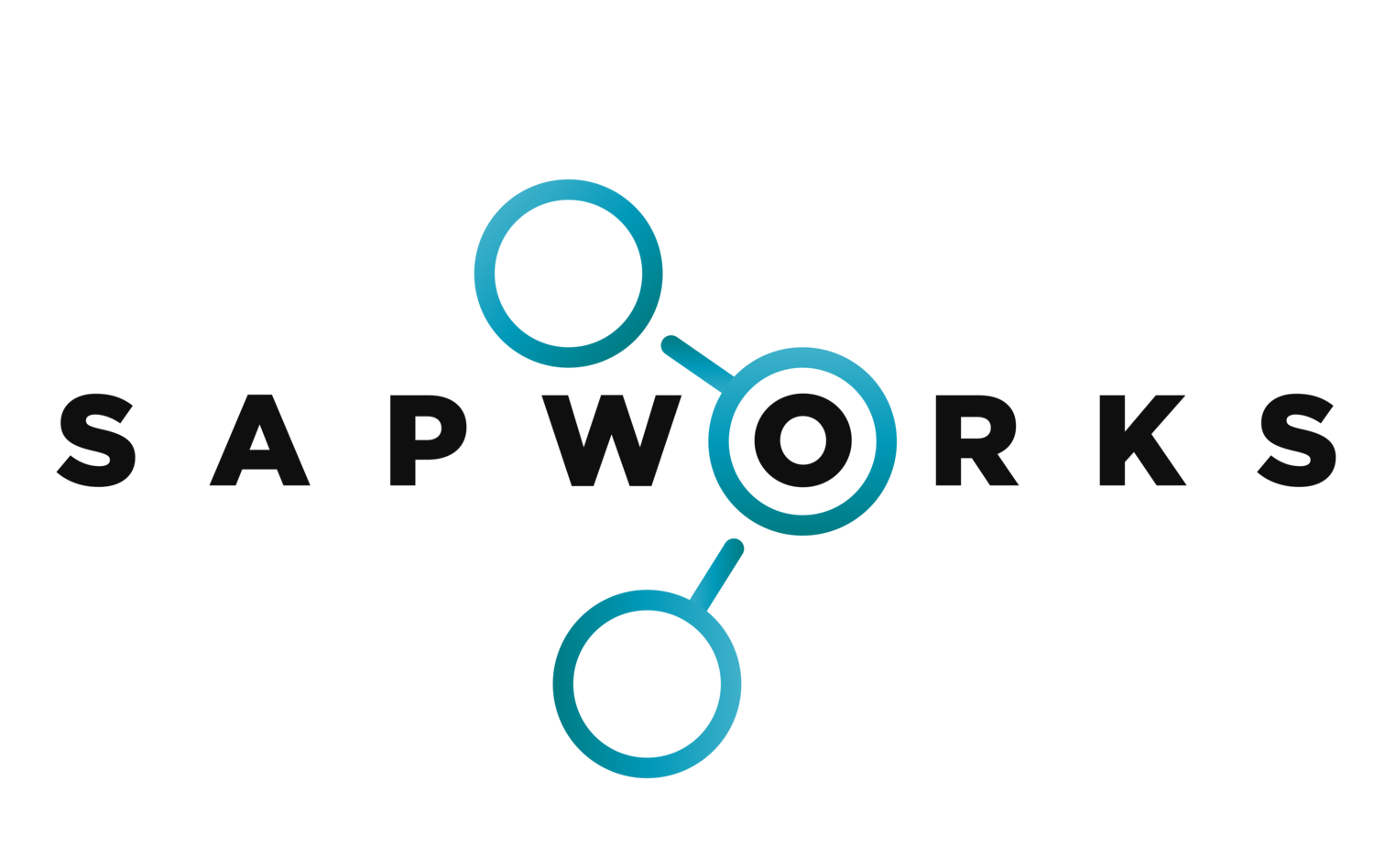 SAPWORKS