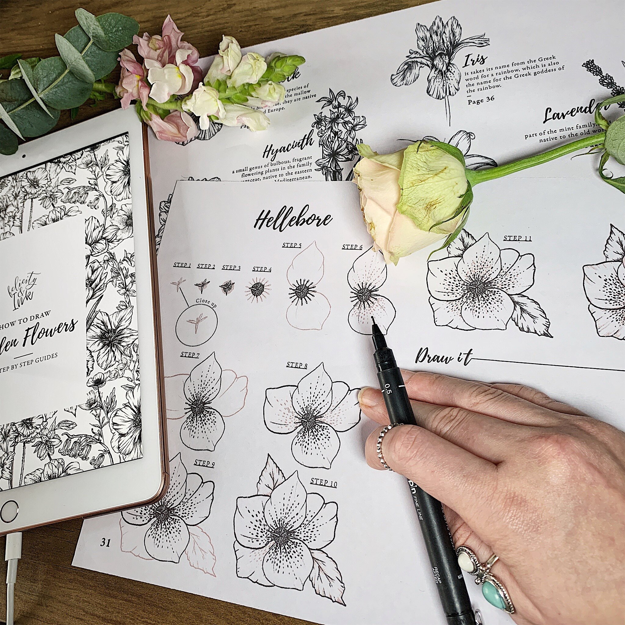 How To Draw Flowers 40 Step By Step Tutorials Ebook Felicity Ink