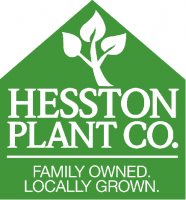 HESSTON PLANT CO.
