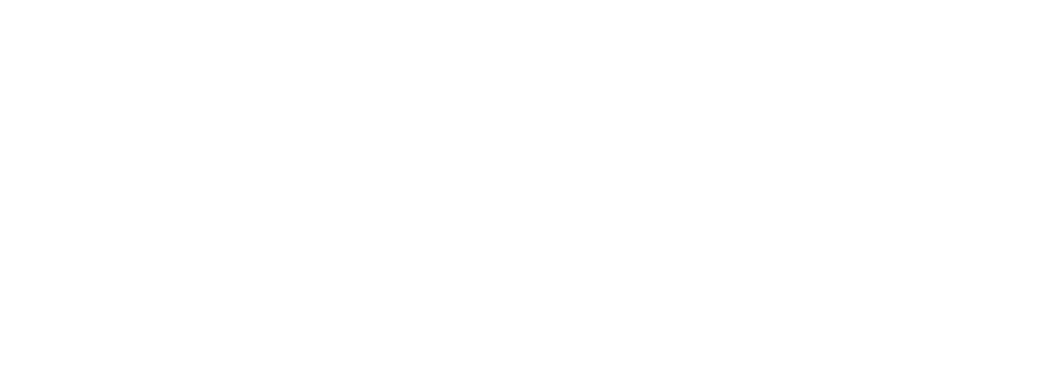Spacecat Agency