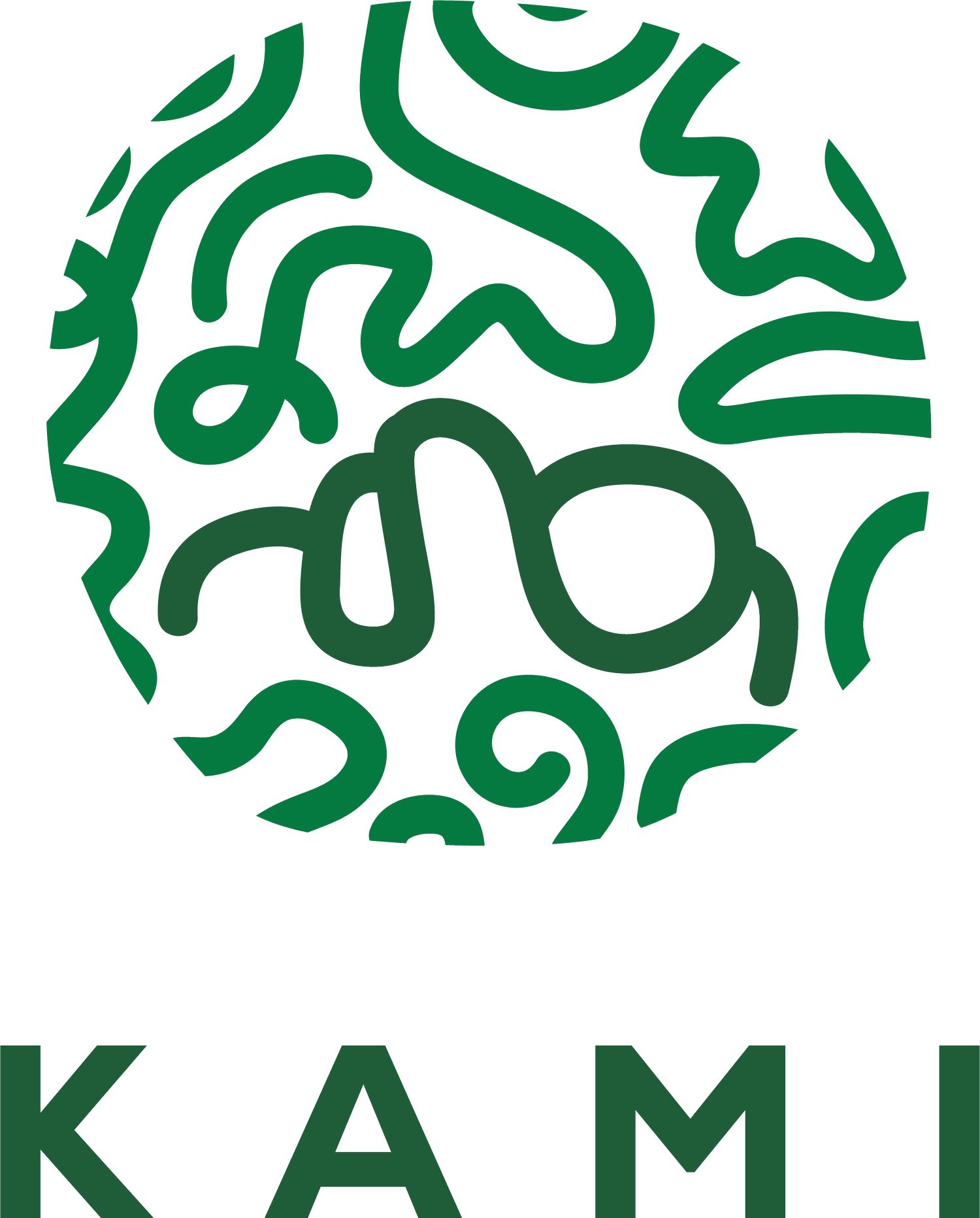 KAMI DISTRIBUTION PTY LTD