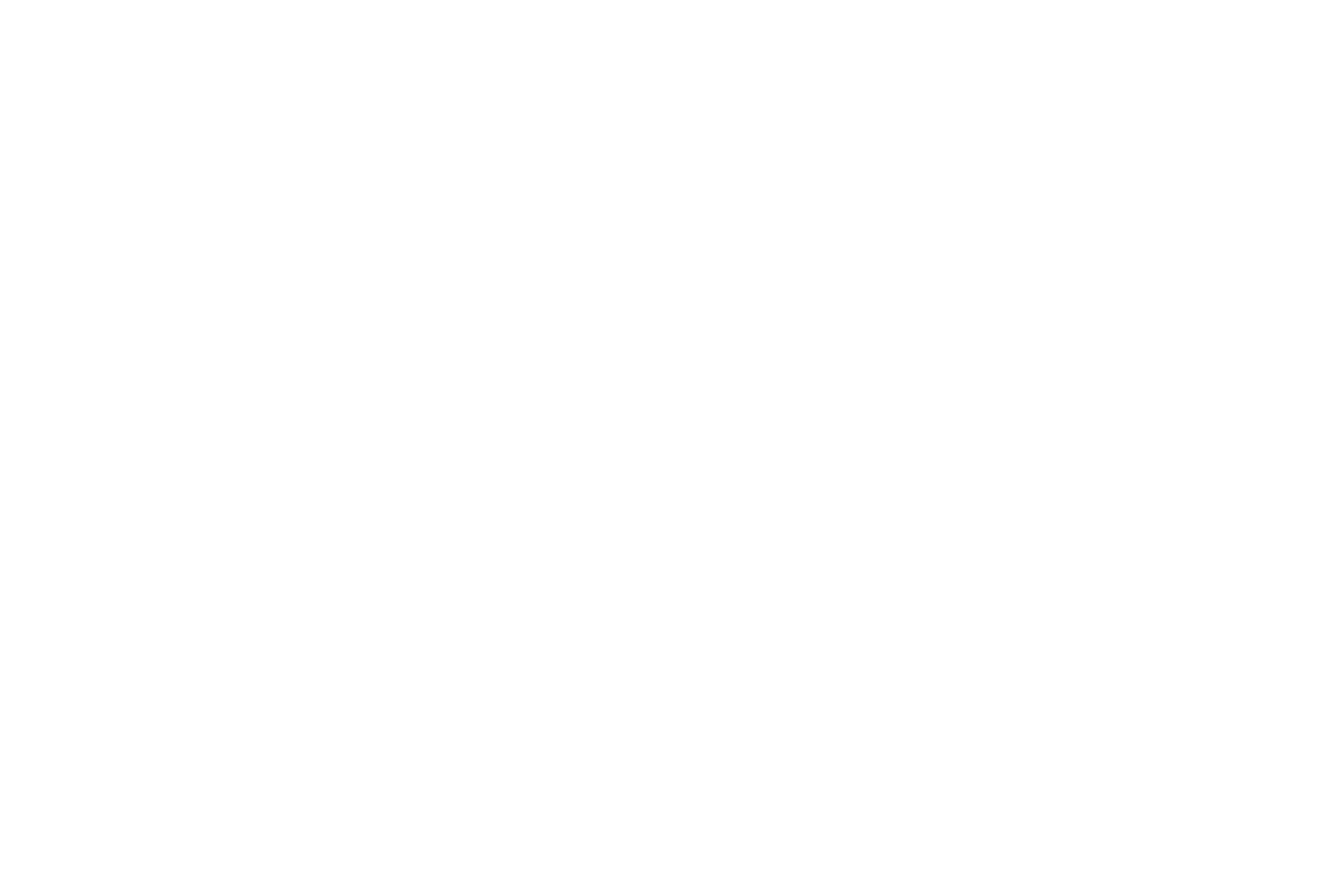 The Fringe Hair Salon