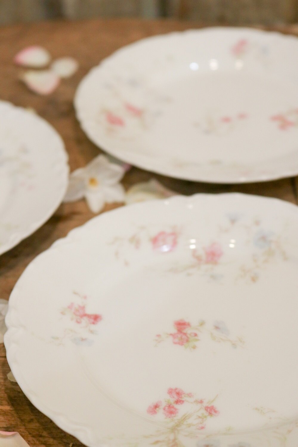 Antique French Limoges Plate PAIR China Victorian Floral PINK