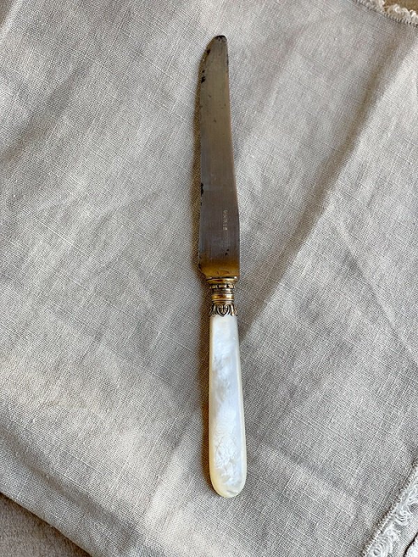 Vintage Paris Mother of Pearl and Silver French Fruit and Spreader Knives