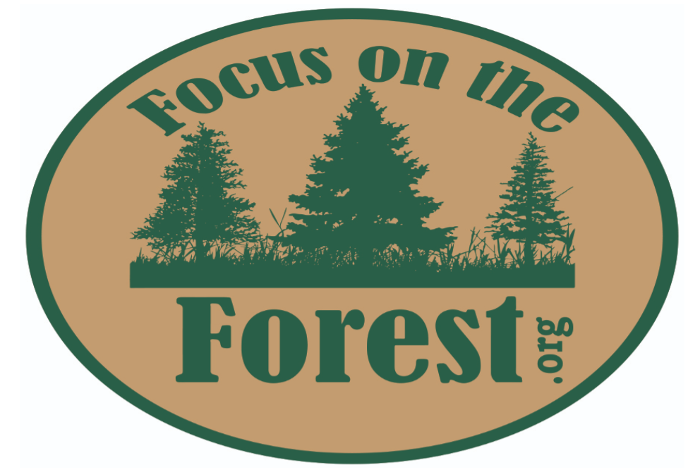 Focus on the Forest