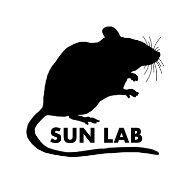 Sun Laboratory