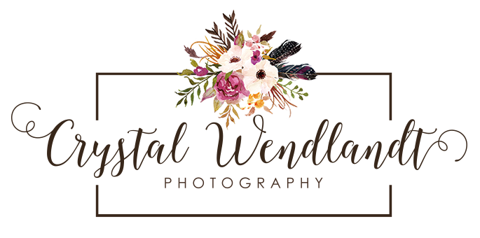 Crystal Wendlandt Photography