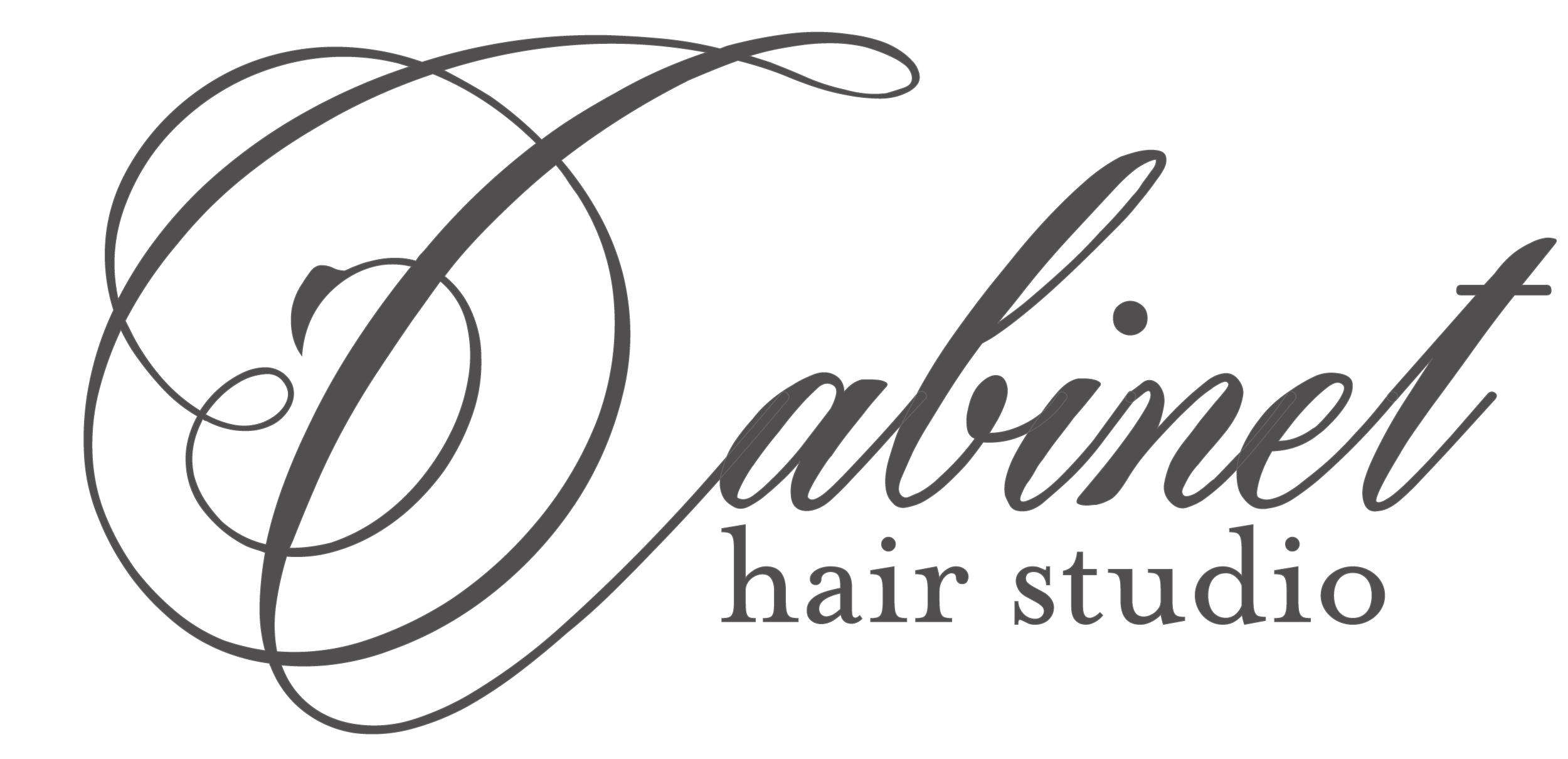 Cabinet Hair Studio