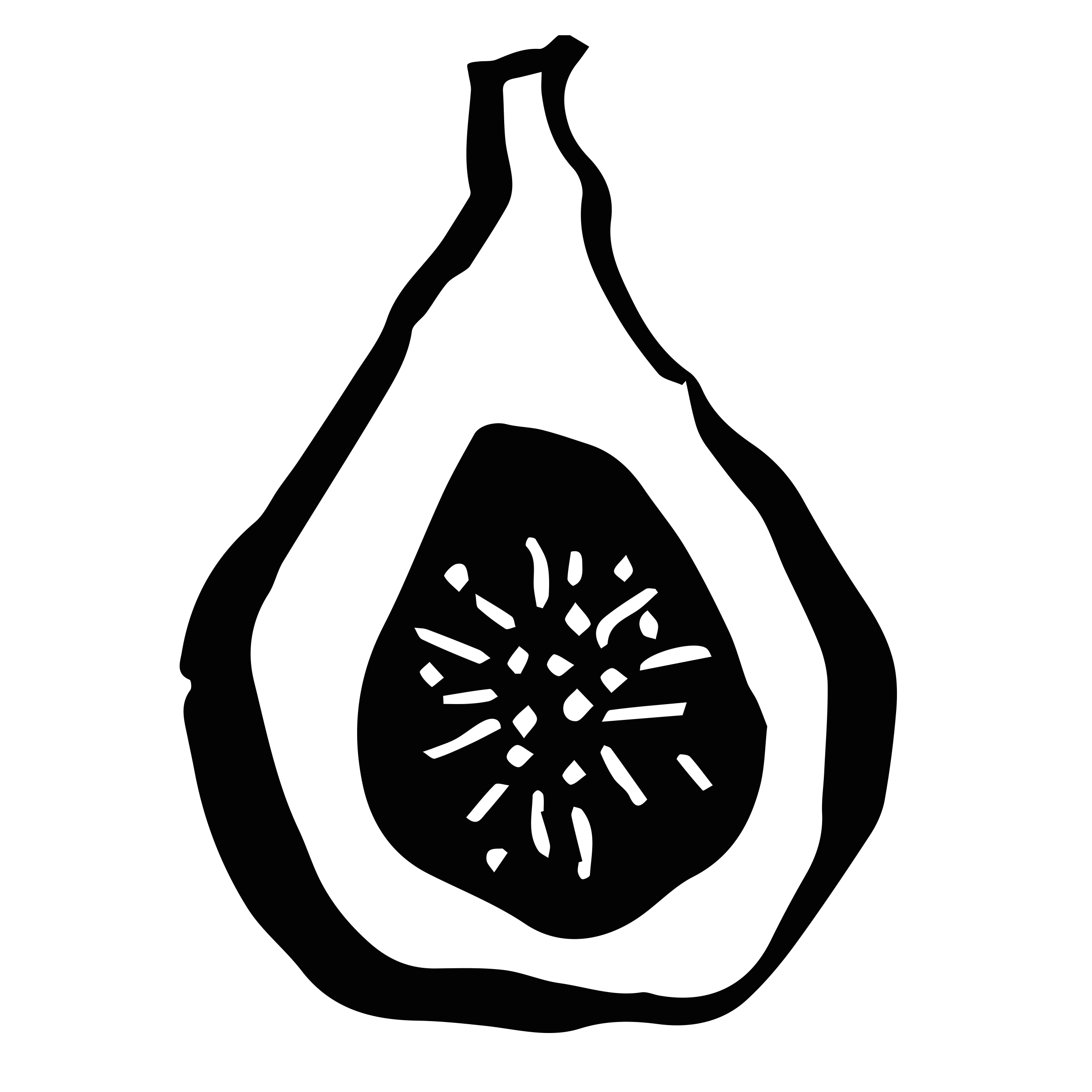 flavicon2.png.