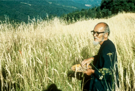 Masanobu Fukuoka - 一场稻草革命