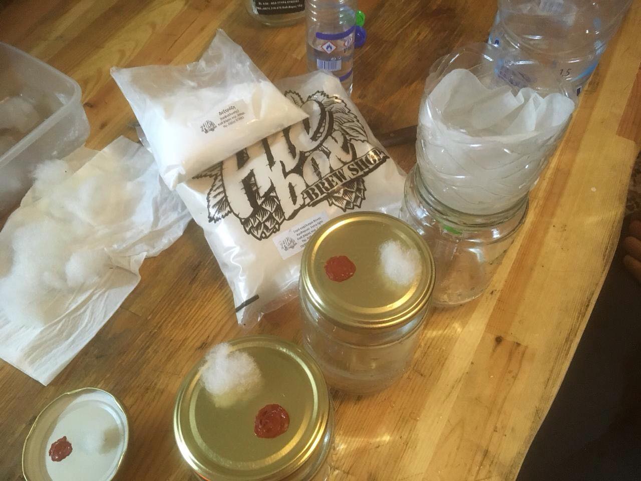 开始我们的牡蛎蘑菇培养