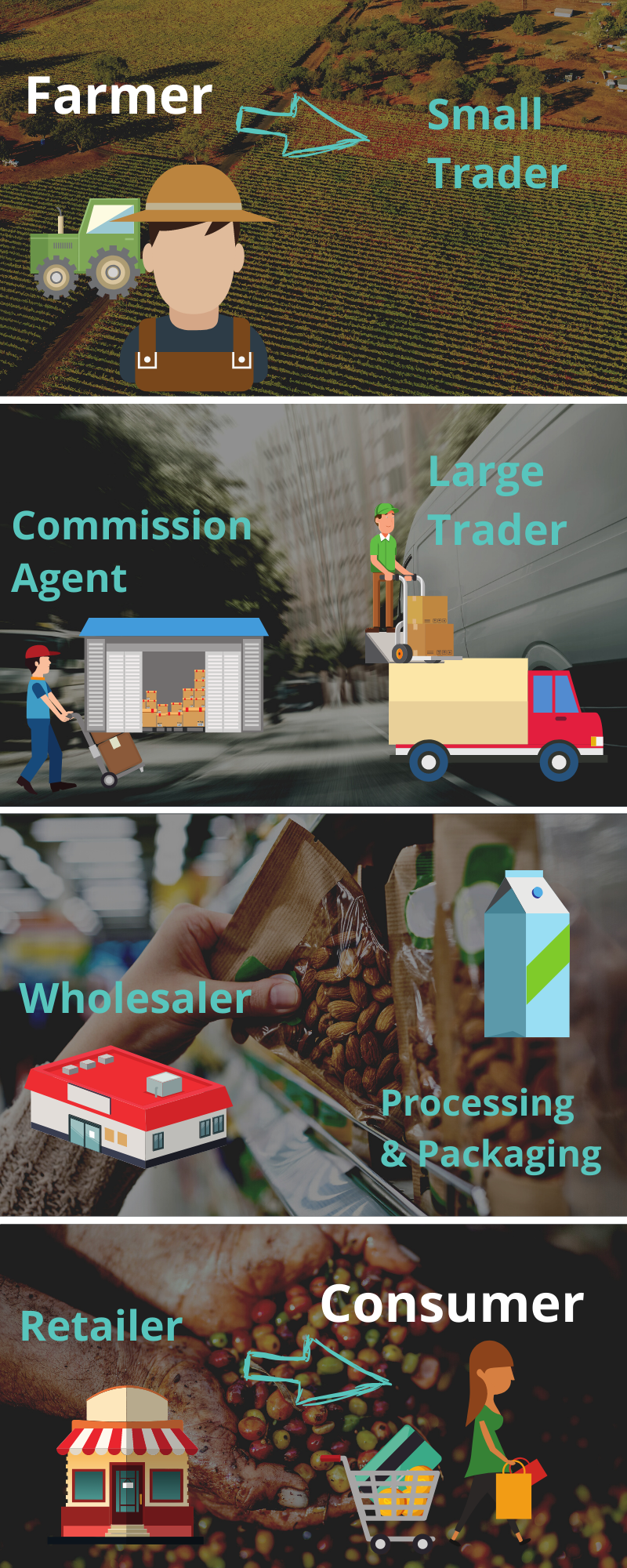 middlemen.png.