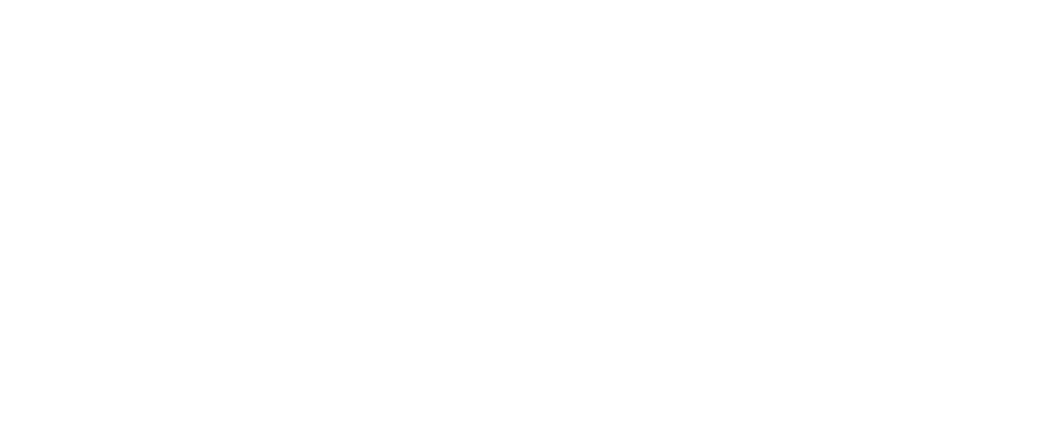 the conscious diva 