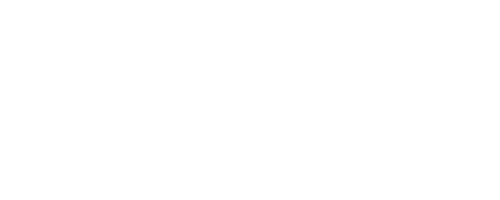 THE FLYING PINUP