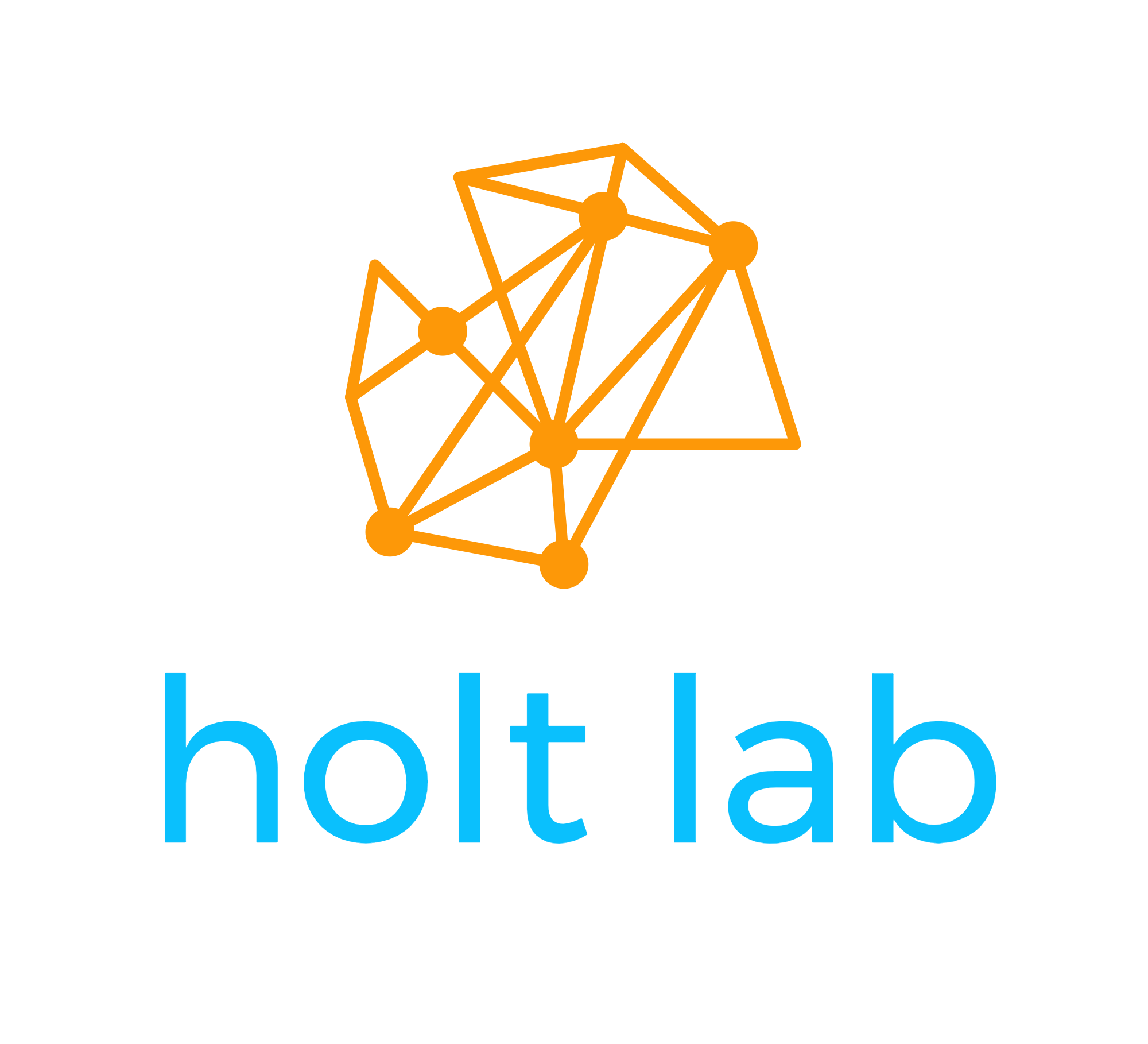 Holt lab NYU