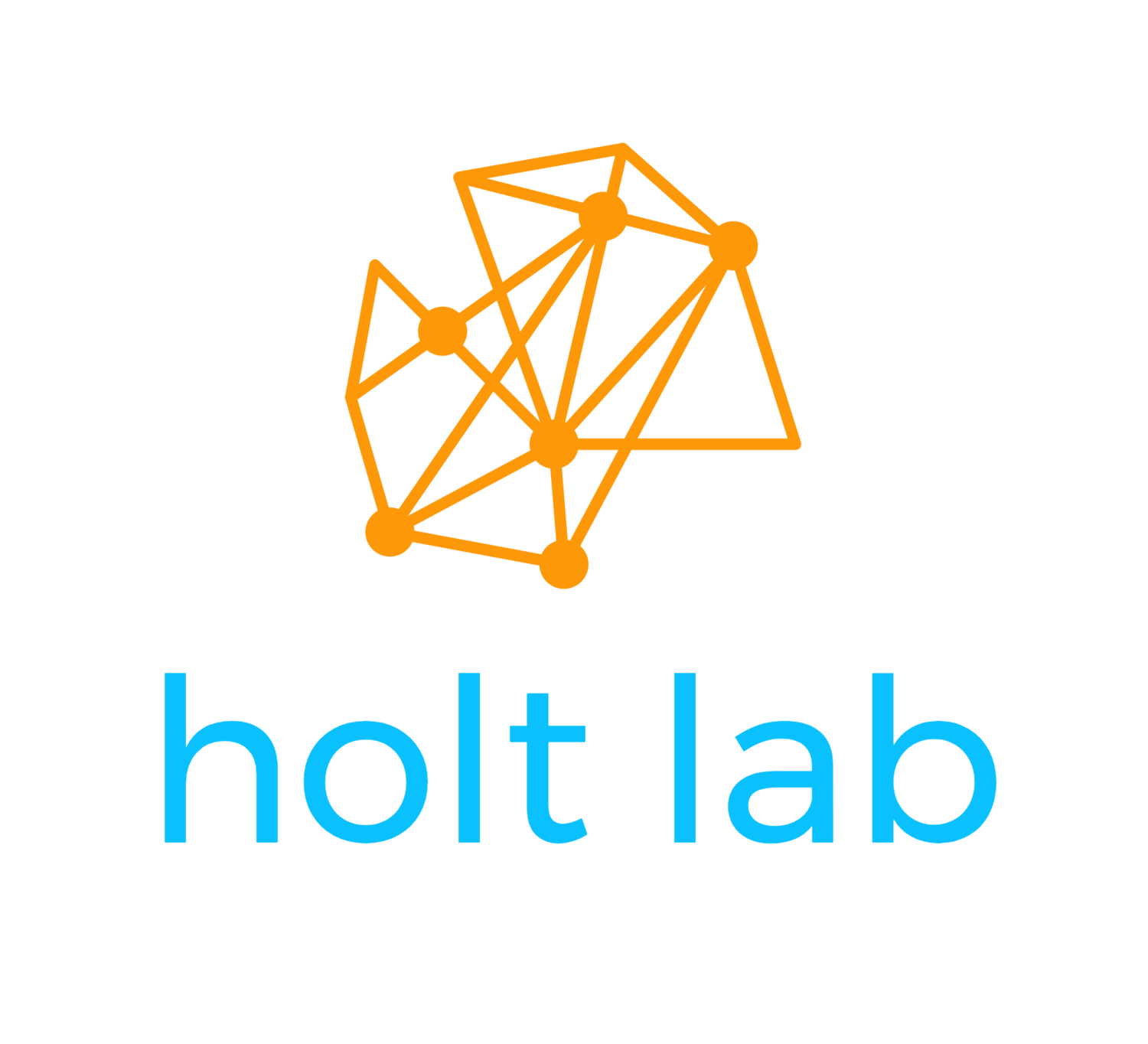 Holt lab NYU
