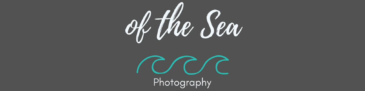 of the sea photography